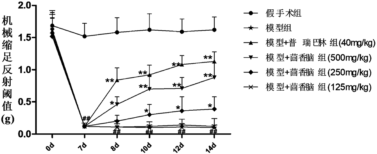 Application of anethole in preparing drug for treating neuropathic pain