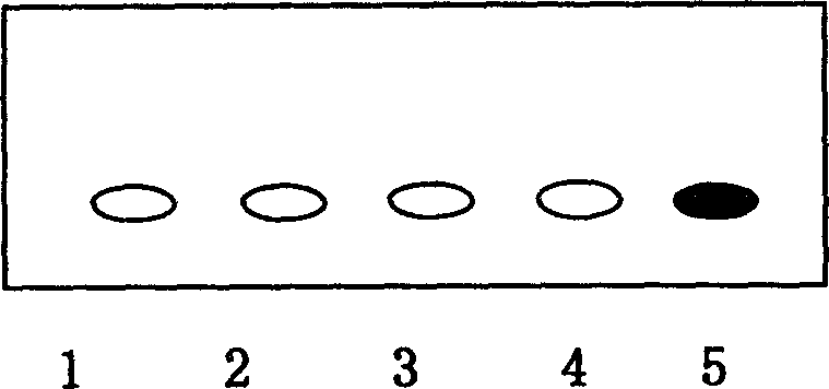 Fast searing tuning method of television function