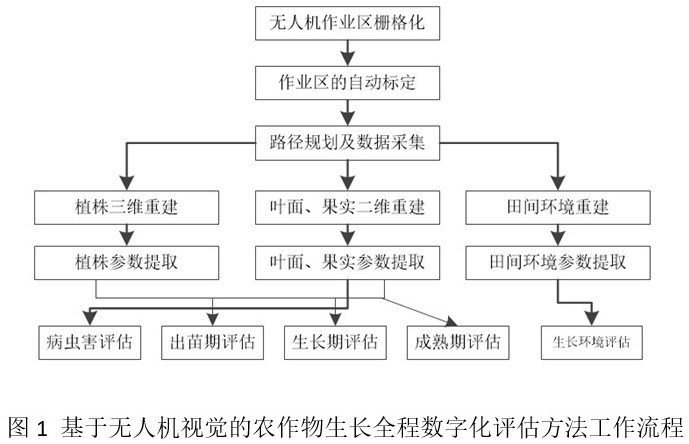 Crop growth whole-course digital evaluation method based on unmanned aerial vehicle vision