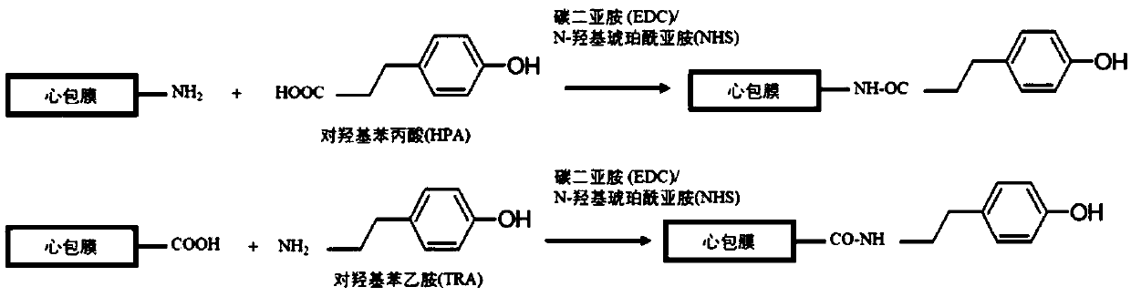 Method for increasing glycosaminoglycan stability of bioprosthetic heart valve