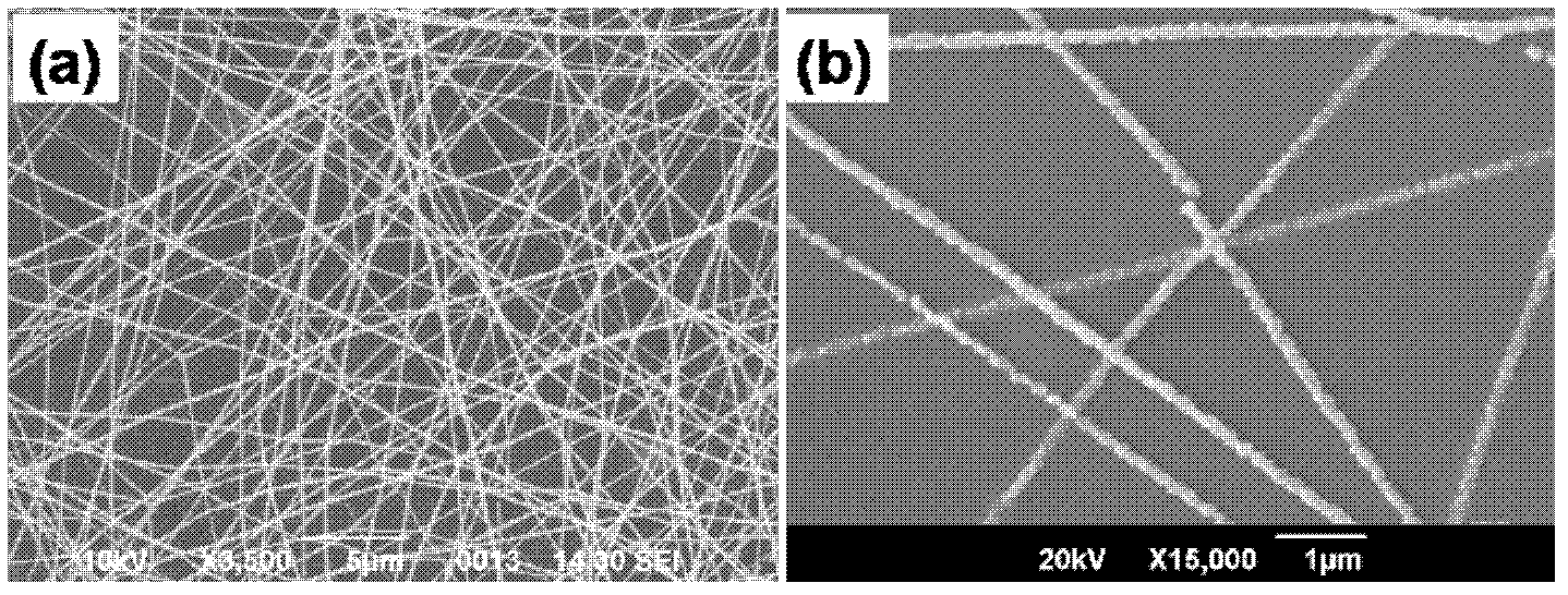 Quick response and recovery type barium titanate nanofiber humidity dependent sensor