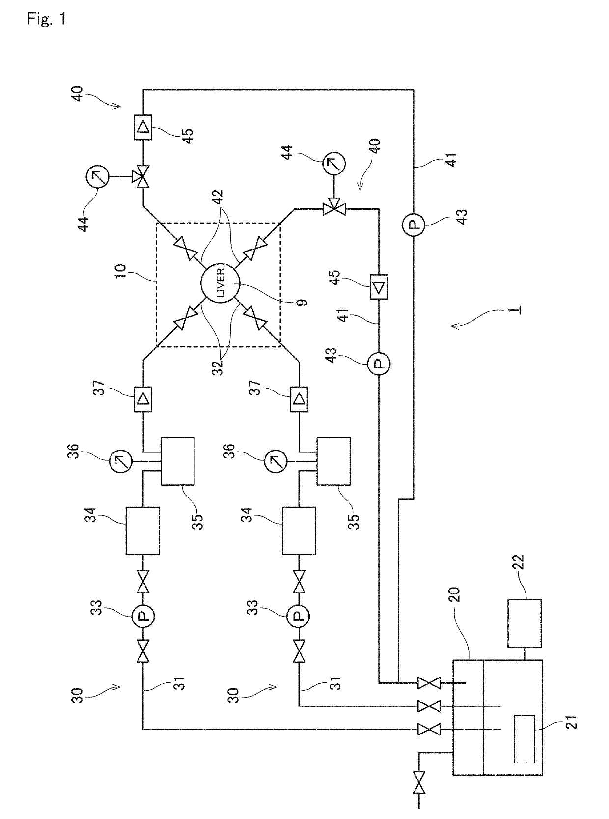 Perfusion device for liver graft, and liver removal method and liver transplantation method using the device