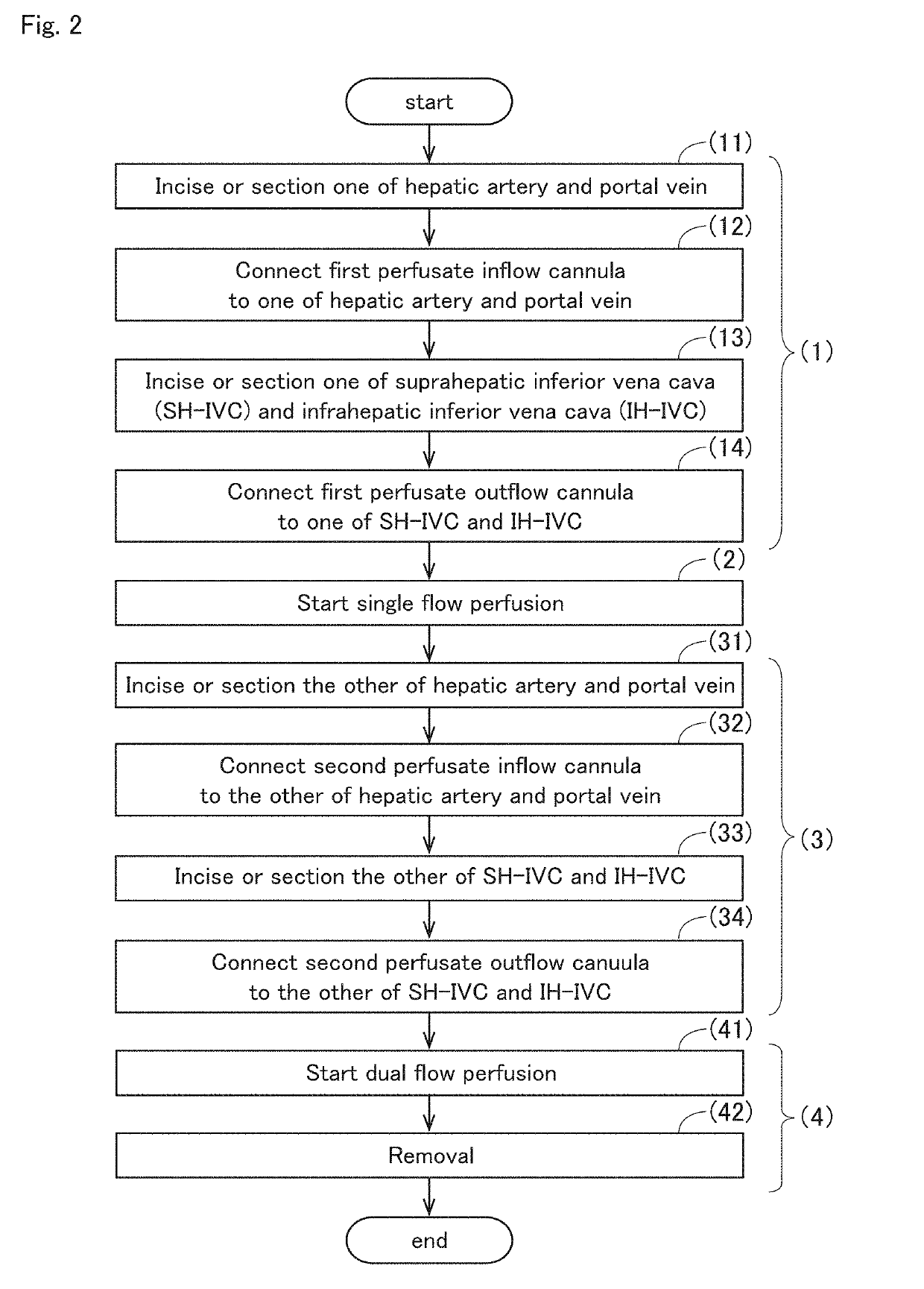 Perfusion device for liver graft, and liver removal method and liver transplantation method using the device