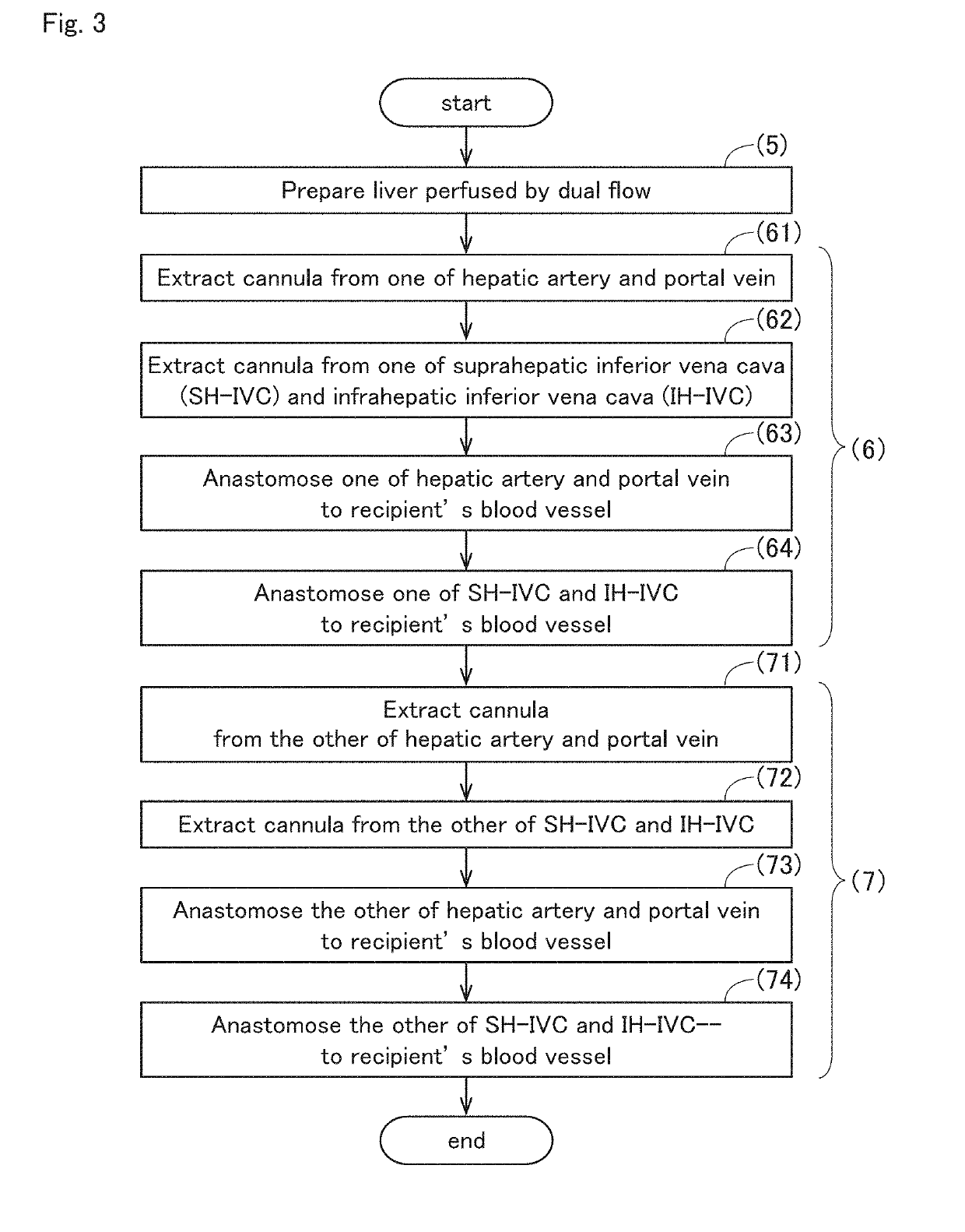 Perfusion device for liver graft, and liver removal method and liver transplantation method using the device