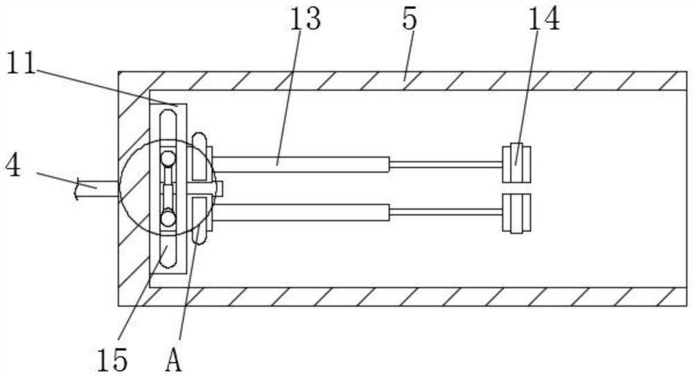 Device for extracting intestinal microorganisms in animal body