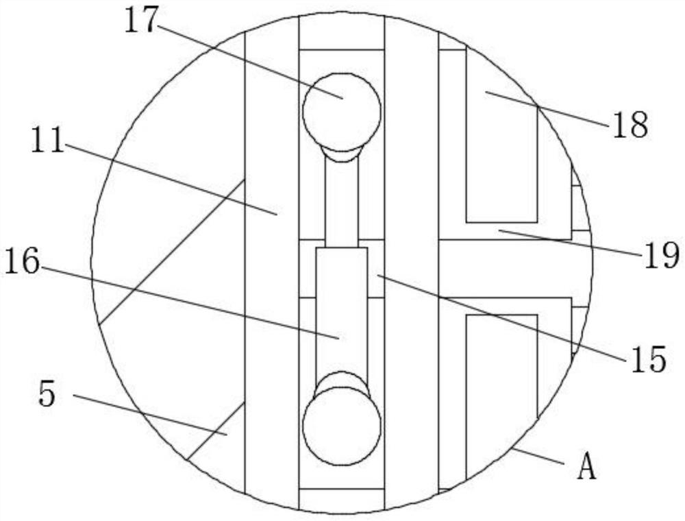 Device for extracting intestinal microorganisms in animal body