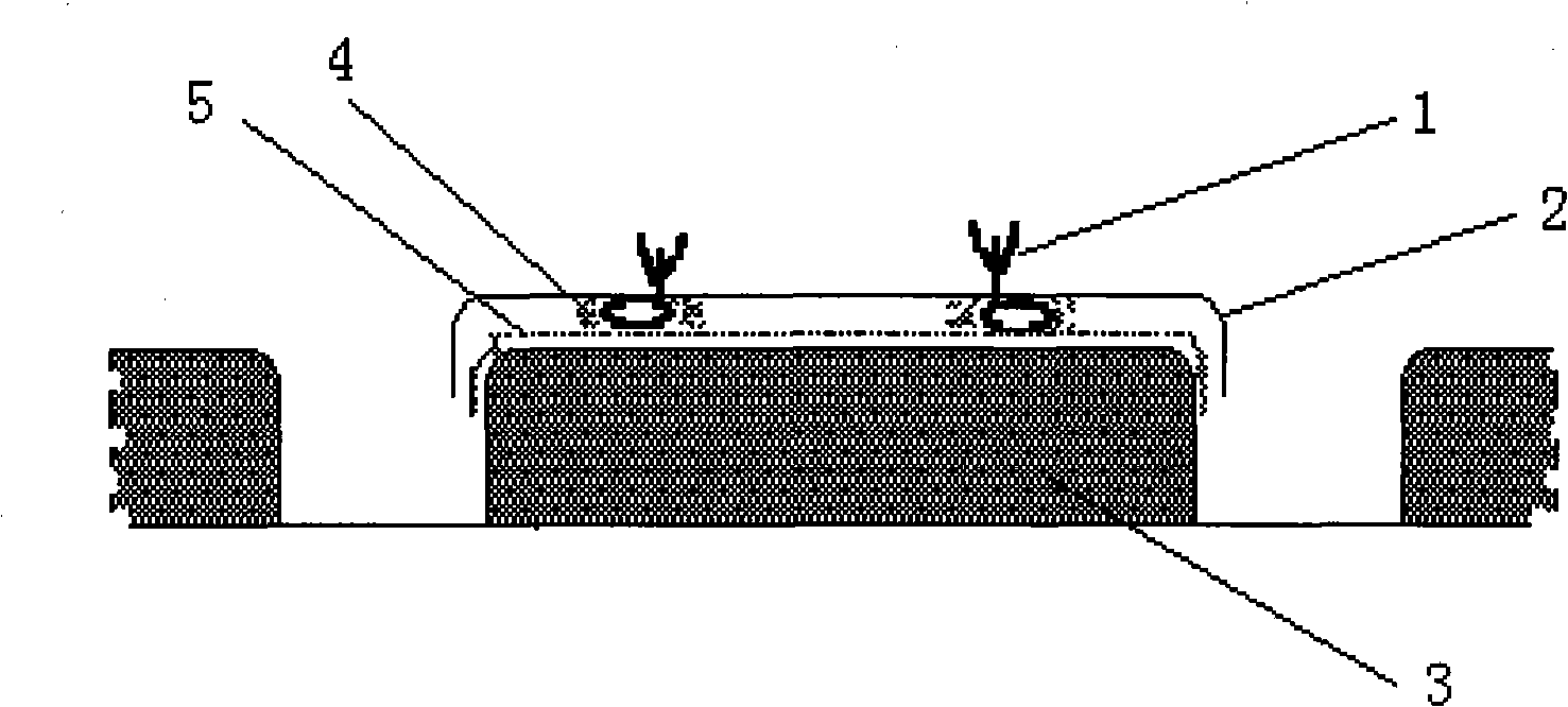 Quick efficient breeding method of detoxicated small seed potato