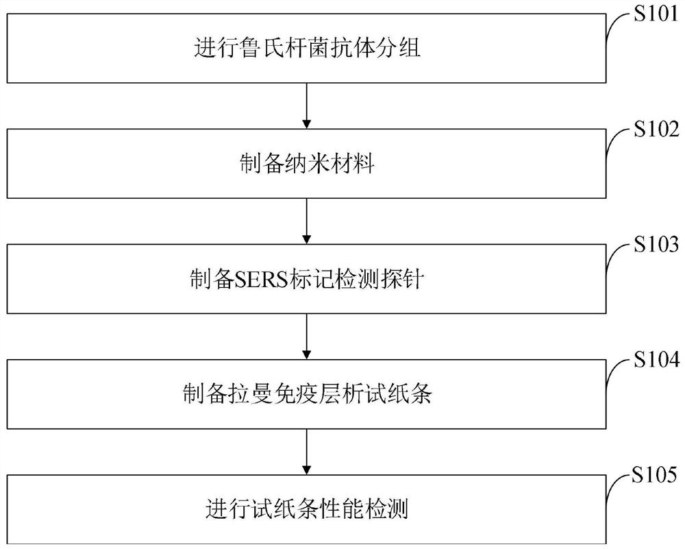 Method for detecting brucella by combining surface enhanced Raman scattering with immunochromatography technology