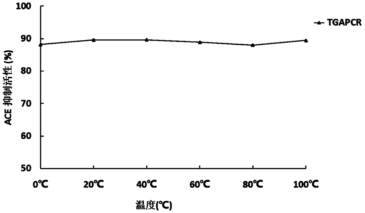 Porphyra haitanensis antihypertensive peptide, porphyra haitanensis antihypertensive peptide extract and application