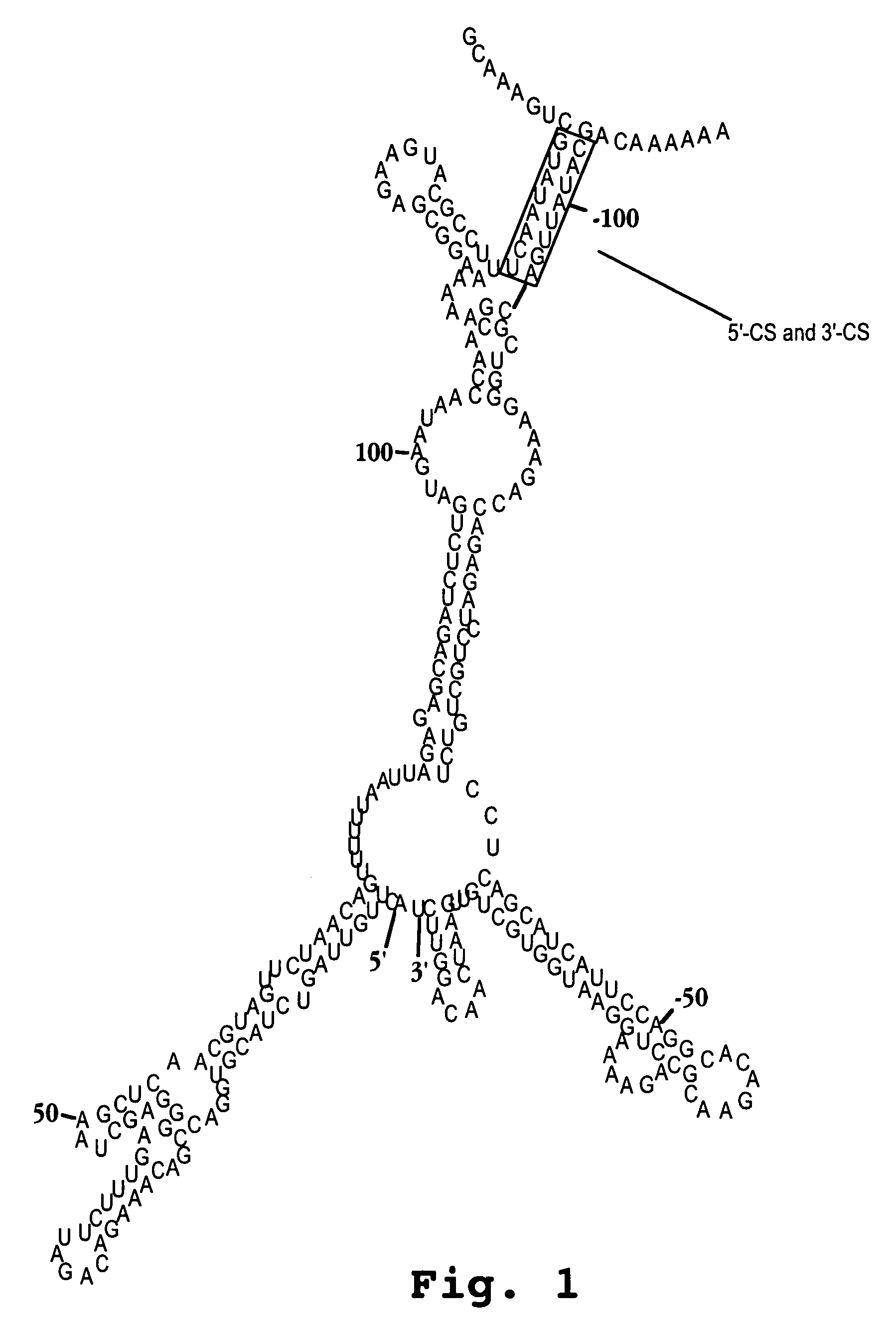 Oligonucleotide analog and method for treating flavivirus infections