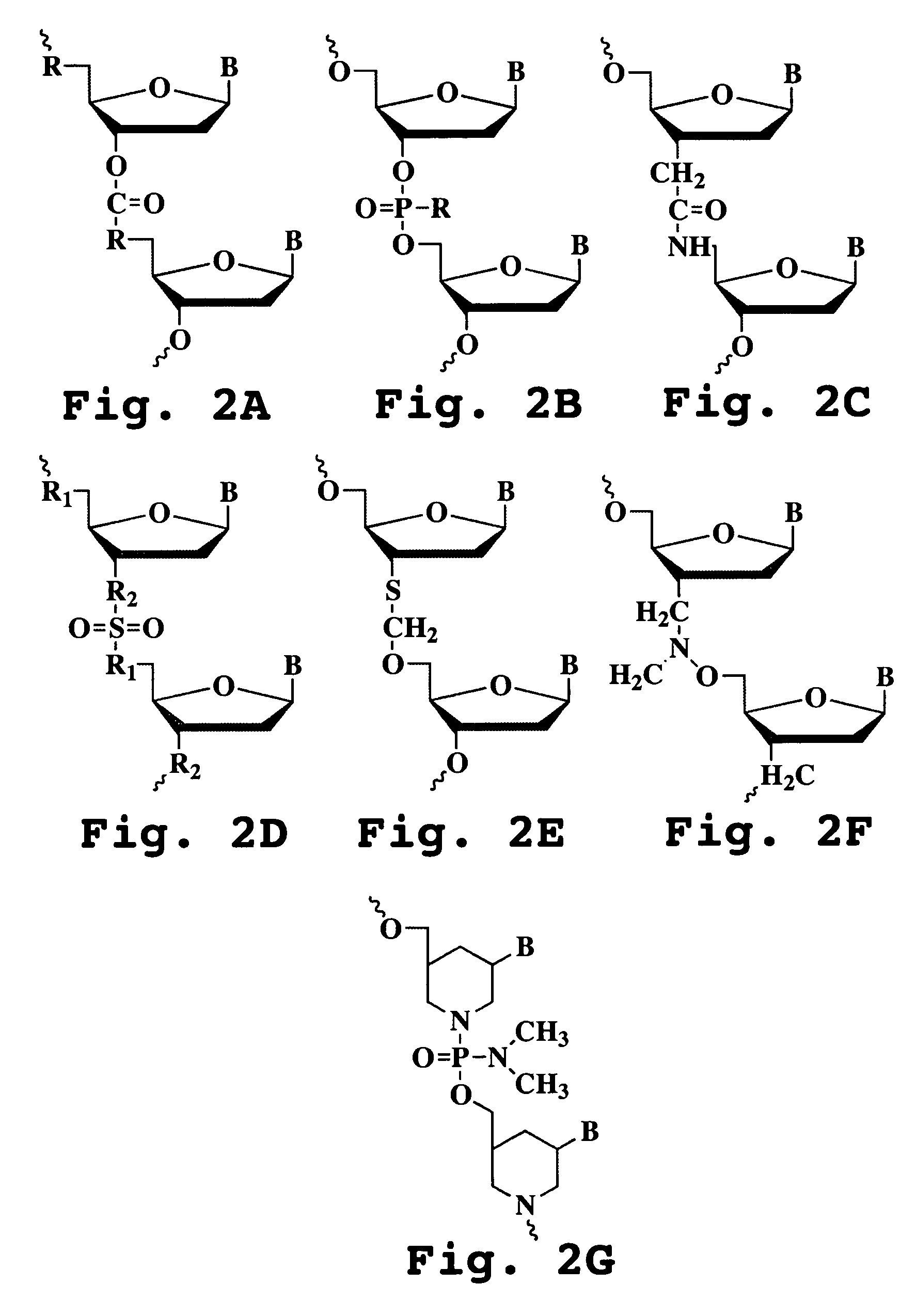 Oligonucleotide analog and method for treating flavivirus infections