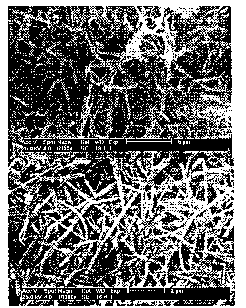 Bone china and preparation method thereof