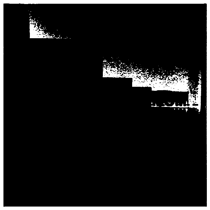 Depth estimation method for light field image