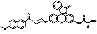 Two-photon ratiometric fluorescent probe compound for detecting aminopeptidase N, and preparation method thereof