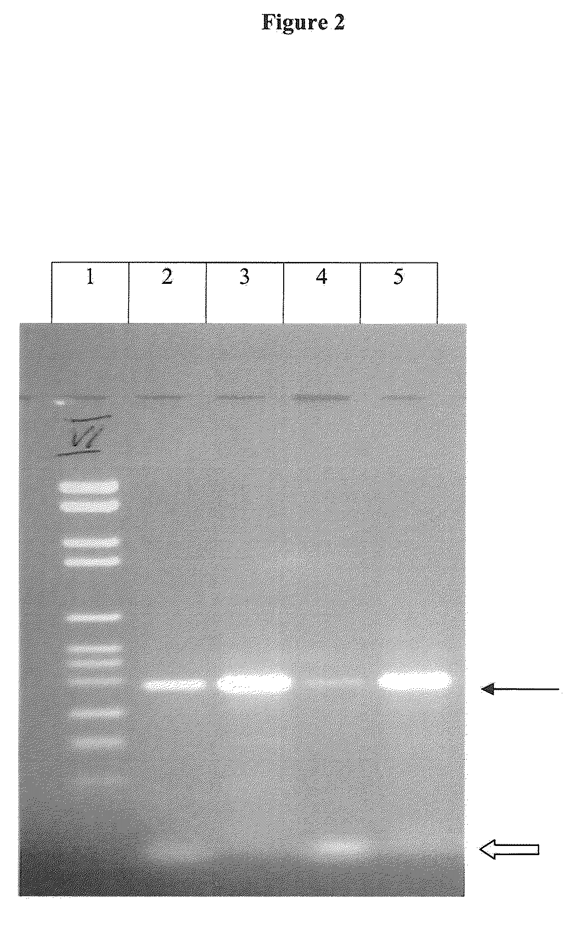 PCR hot start by magnesium sequestration