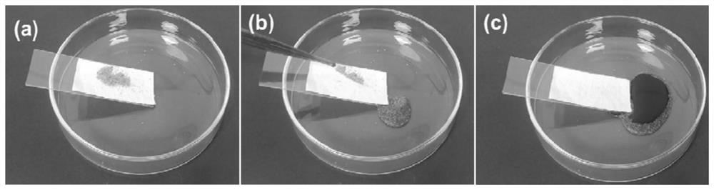 Efficient anti-ultraviolet wear-resistant super-hydrophobic cotton fabric and preparation method thereof