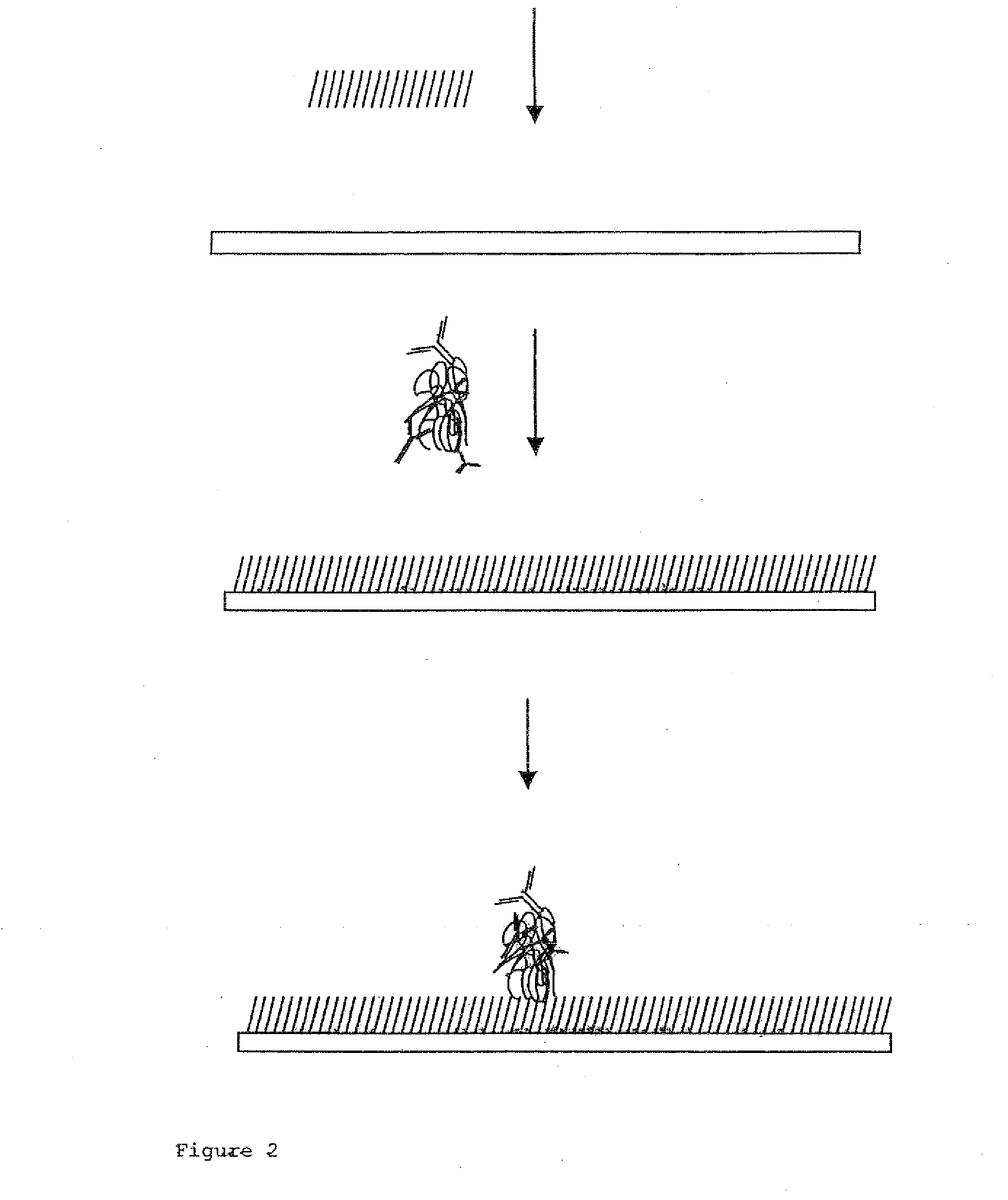 Capillary driven assay device and its manufacture