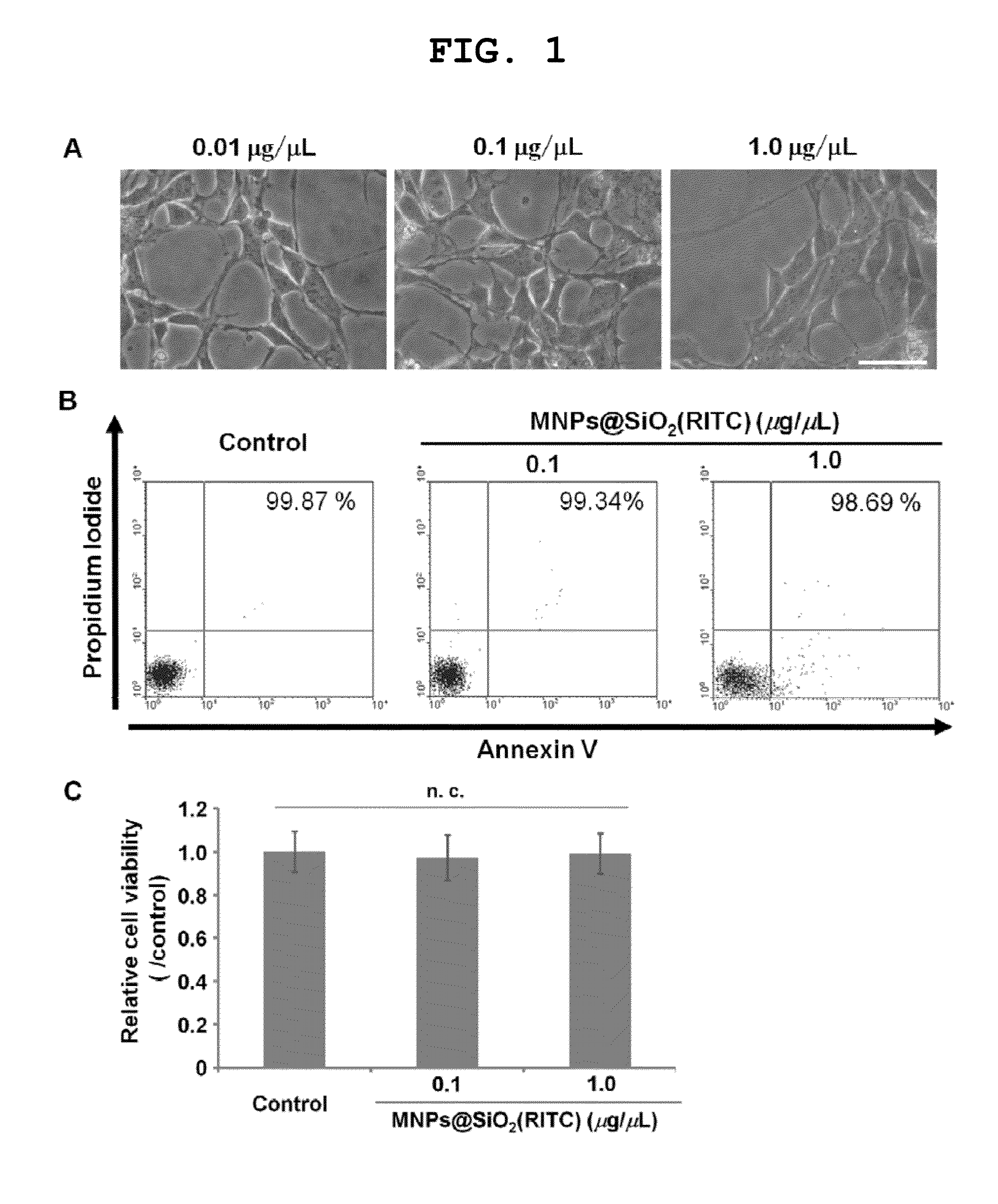 Biomarker for diagnosing toxicity of nanoparticles and method for evaluating toxicity of nanoparticles using the same