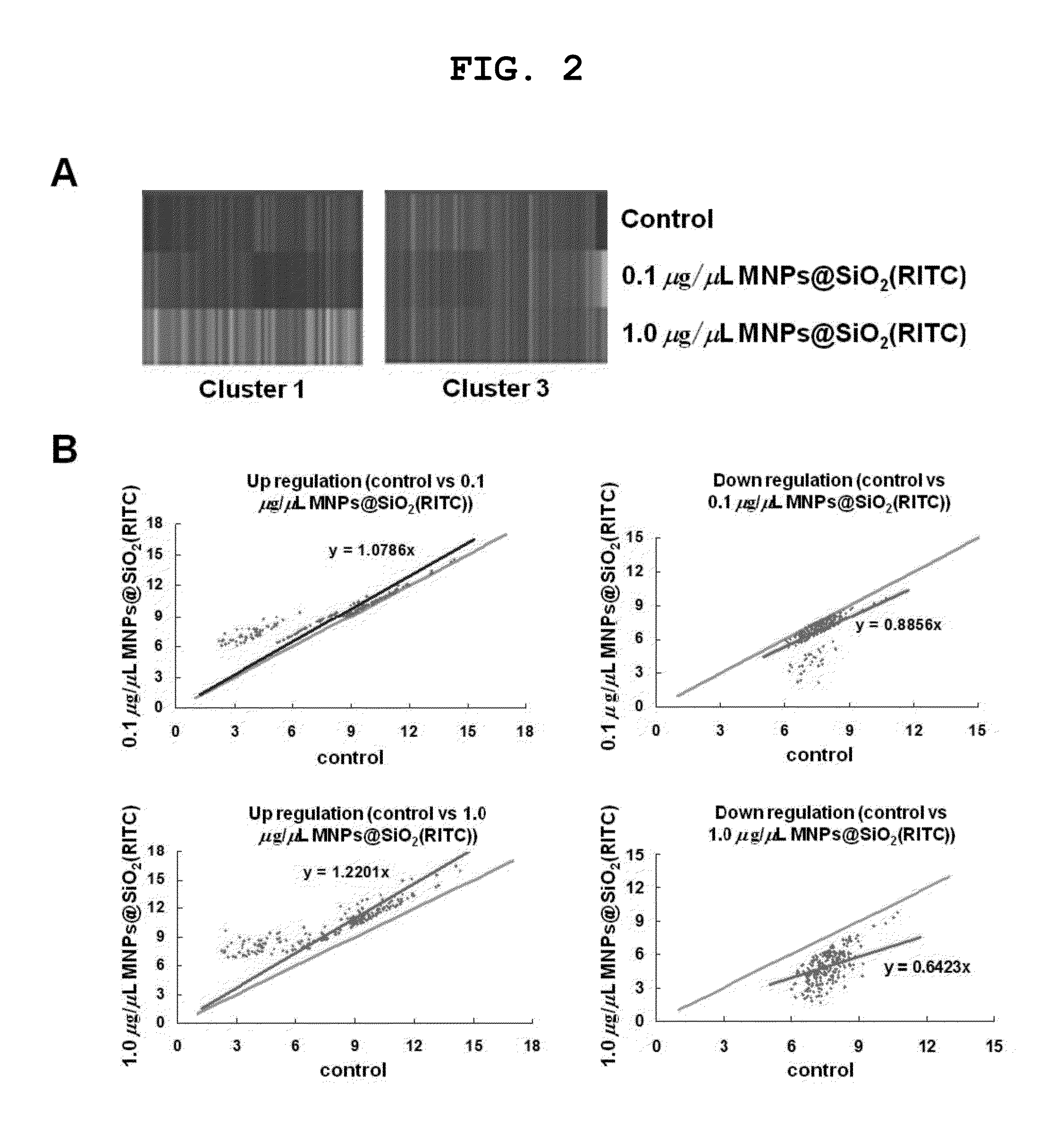 Biomarker for diagnosing toxicity of nanoparticles and method for evaluating toxicity of nanoparticles using the same