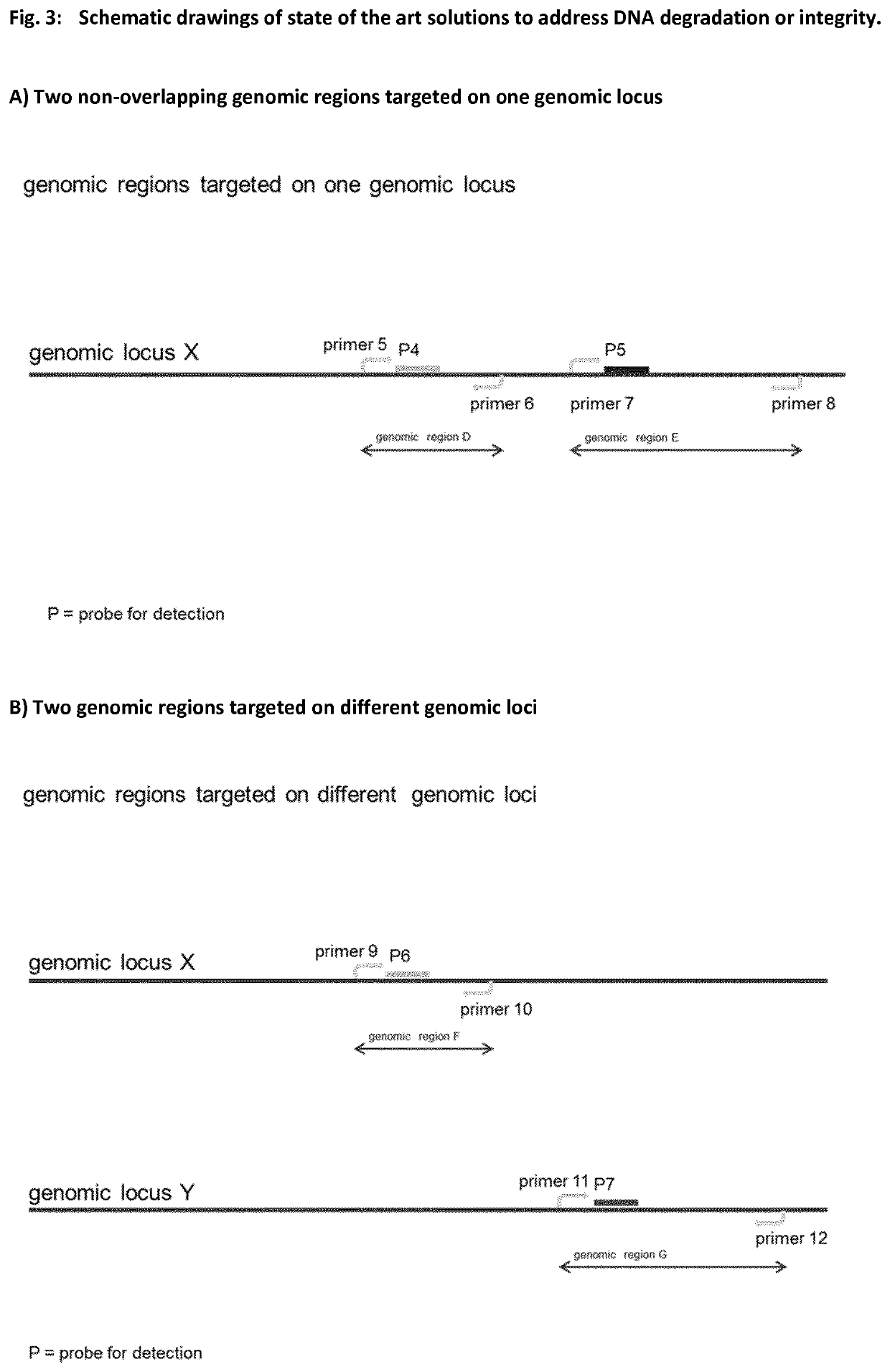 Method for determining nucleic acid degradation in a sample in which at least two overlapping amplicons are produced and two probes are used in the method