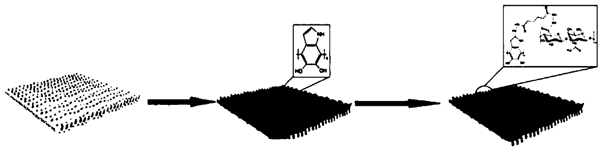 Artificial ligament having immunization bone formation function and preparation method of artificial ligament