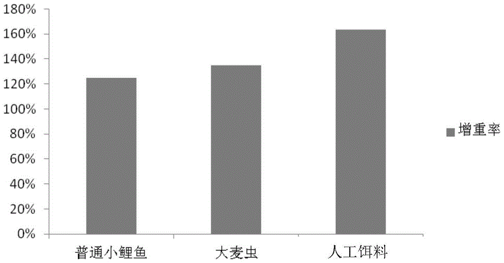 A kind of artificial bait for arowana breeding period and its preparation method and application