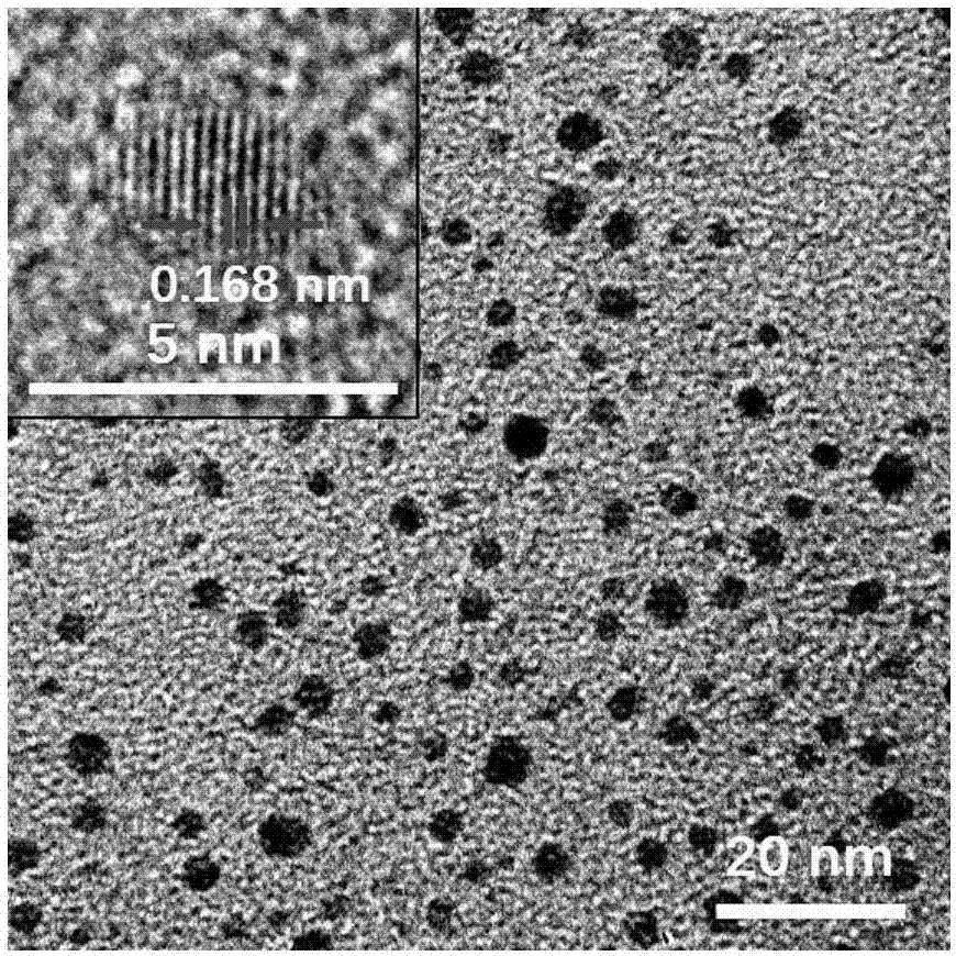 Preparation method of molybdenum oxide quantum dot by one-step method