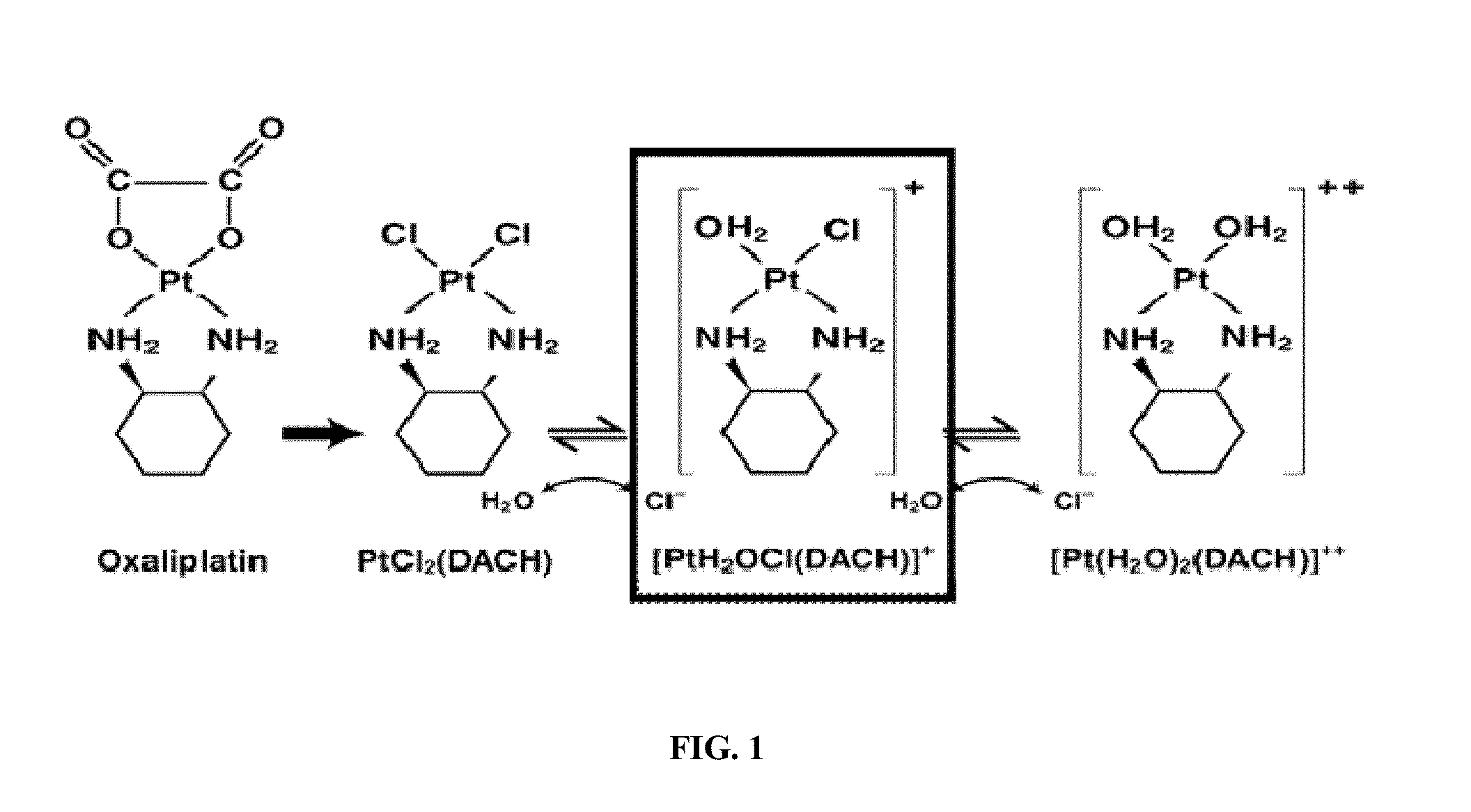 Platinum anticancer agents