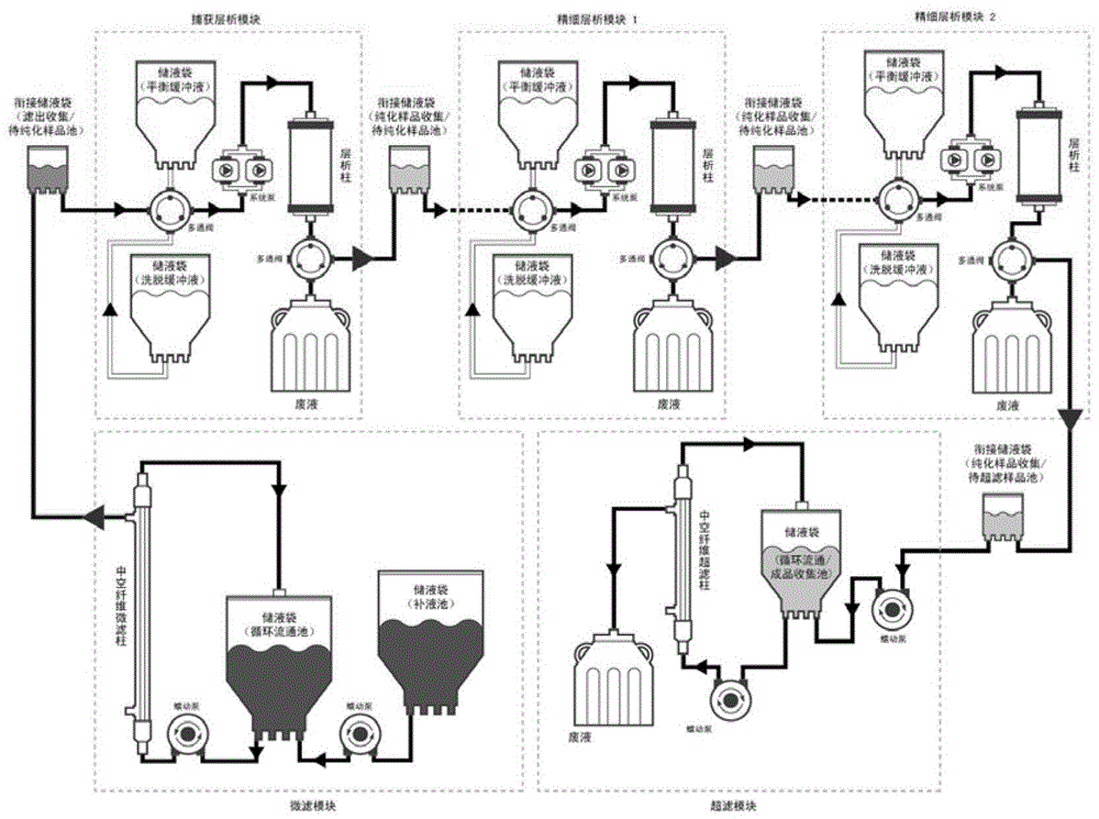 A fully-closed pipeline protein purification system and its application in the preparation of sterile pyrogen-free protein drugs