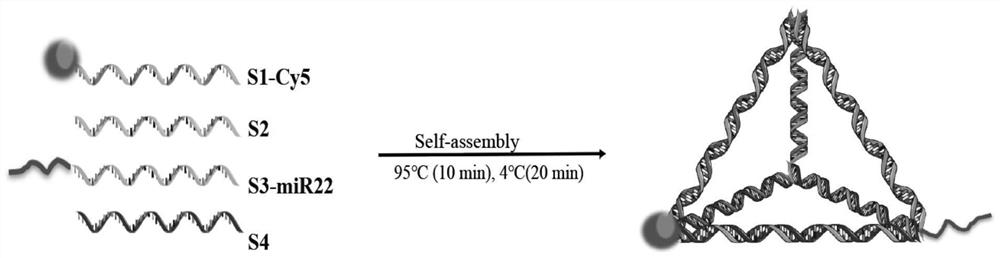 A compound for treating optic nerve disease and its preparation method and use