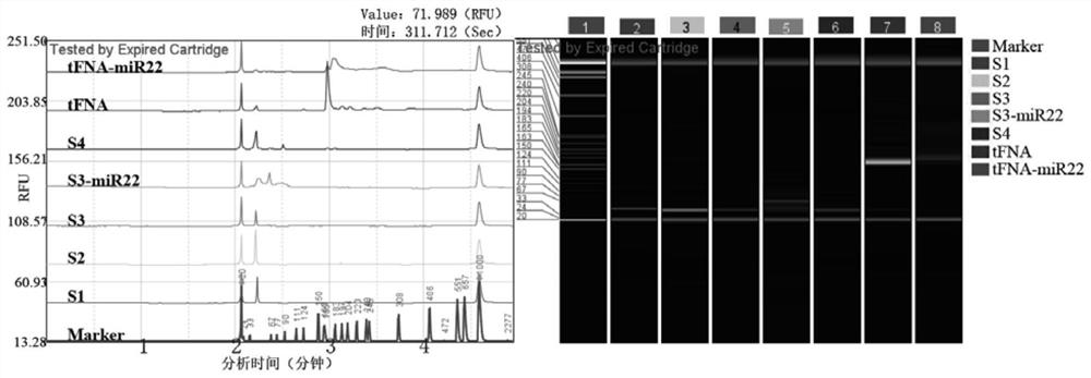 A compound for treating optic nerve disease and its preparation method and use