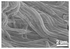 Ti3C2Tx MXene one-dimensional hollow nanotube as well as preparation method and application thereof