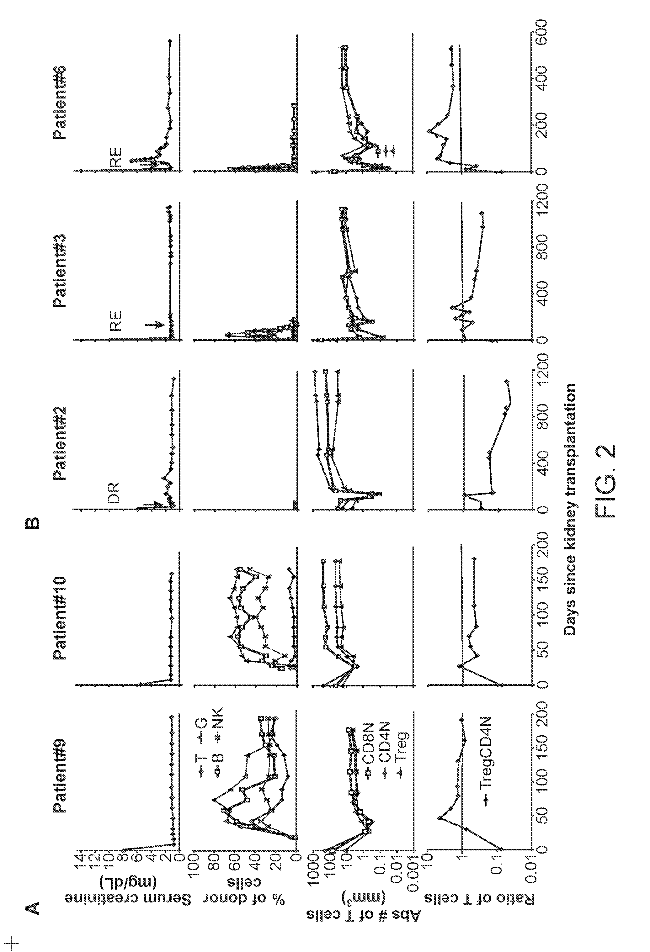 Biomarkers for Determining an Allograft Tolerant Phenotype