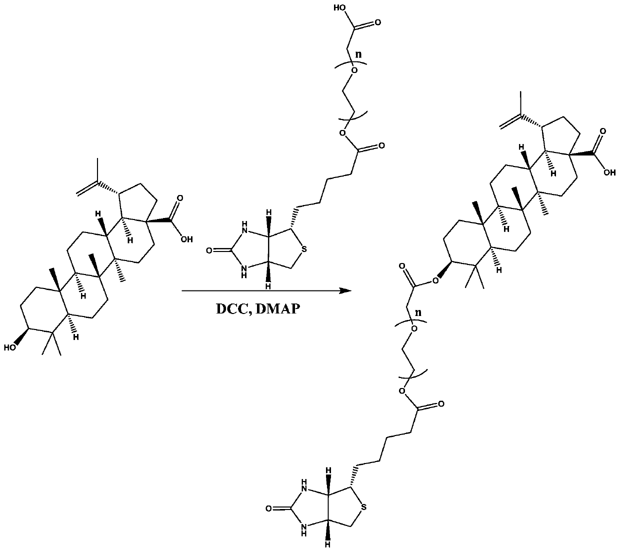 Betulinic acid derivative, preparation method and application thereof