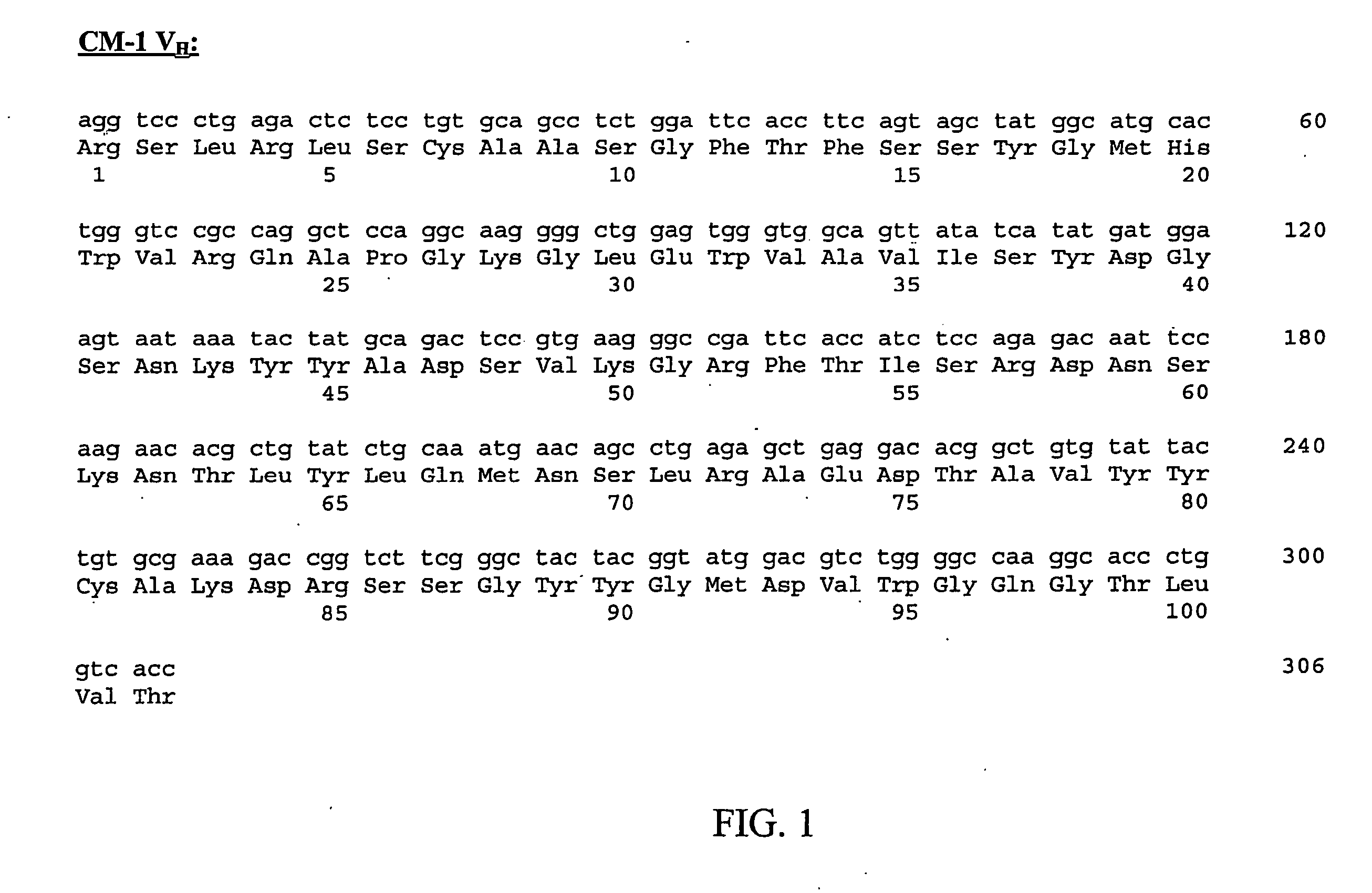 Neoplasm specific antibodies and uses thereof