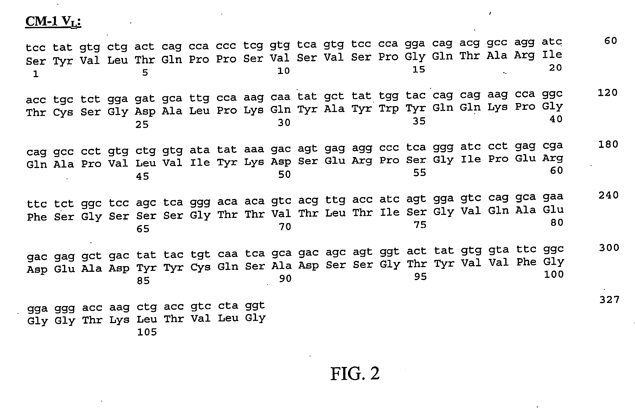 Neoplasm specific antibodies and uses thereof