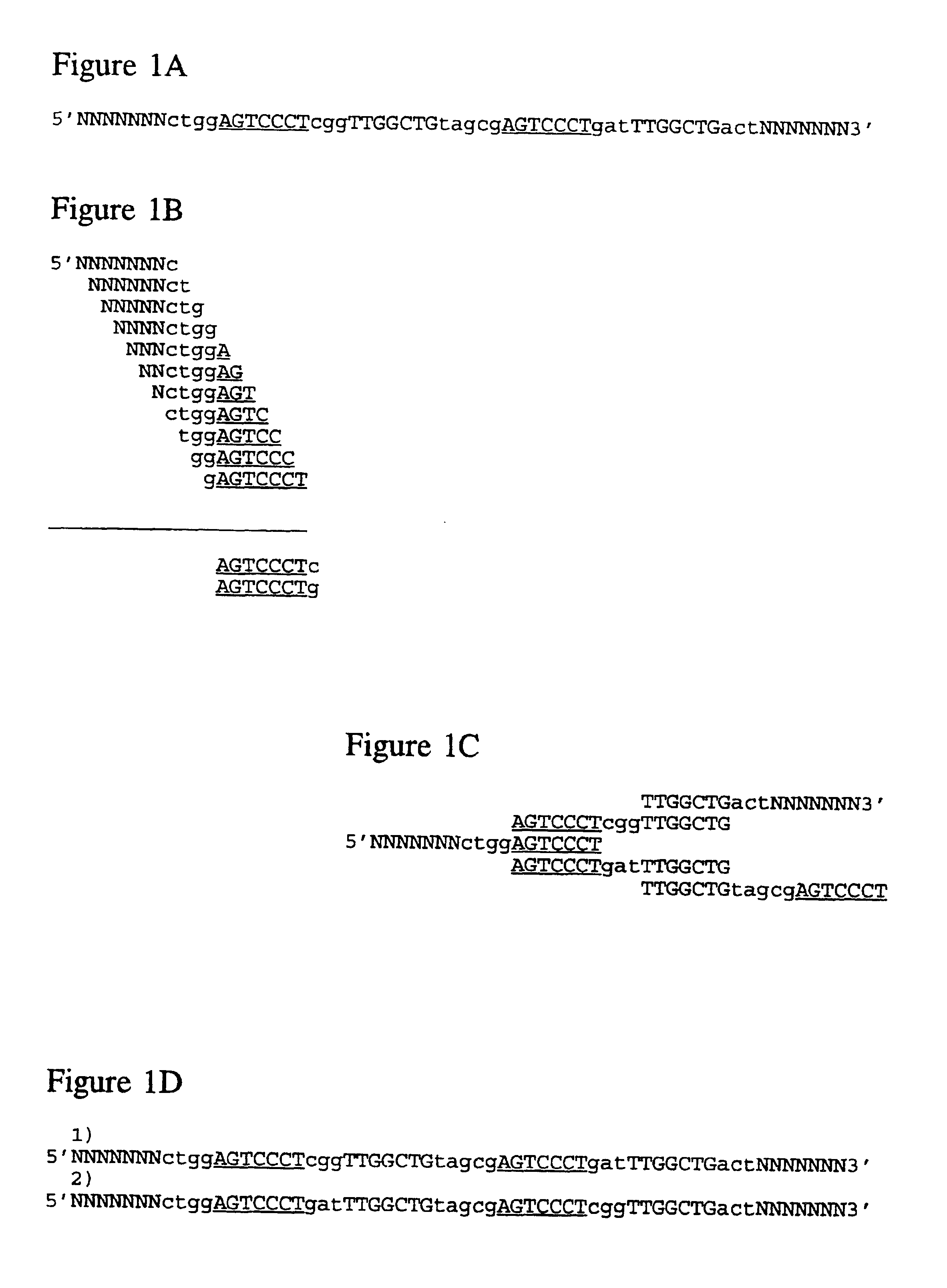 Computer-aided analysis system for sequencing by hybridization