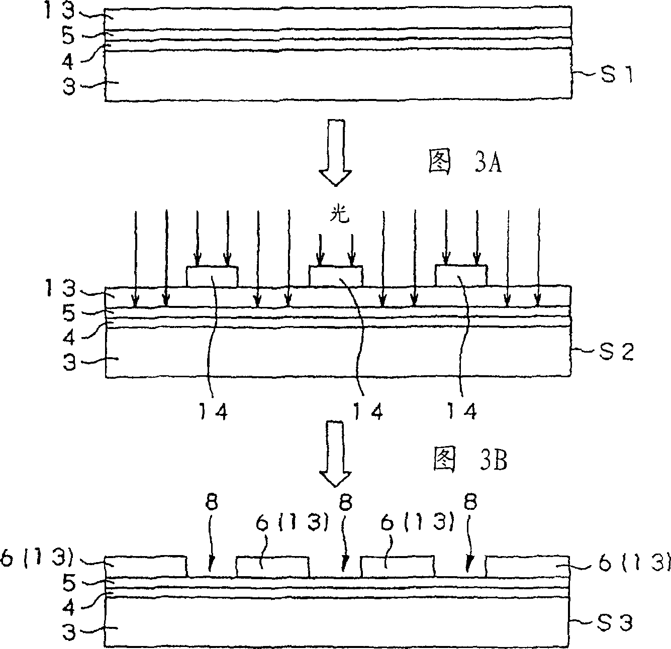 Biochemical reaction apparatus, biochemical reaction substrate, process for producing hybridization substrate and hybridization method