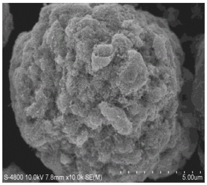 Tin-based nanoparticle-carbon composite material, and preparation method and application thereof