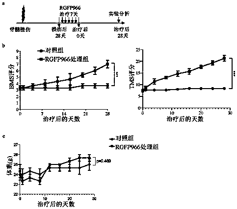 Drug for promoting recovery from chronic spinal cord injury and preparation method and application thereof