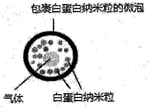 Vincristine lipid microbubble and preparation method thereof