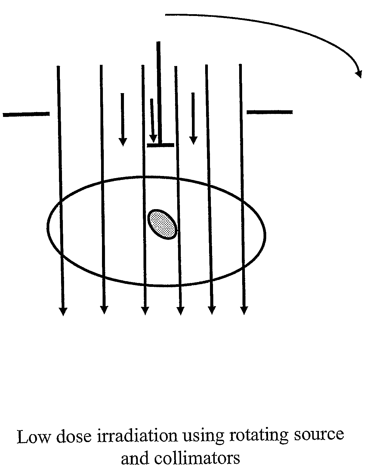 Computer prescribed treatment to reduced damage from radiation therapy and chemotherapy