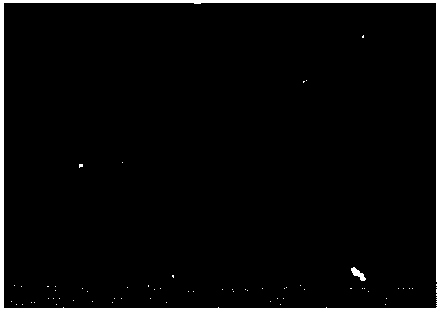 Polymetalcarbosilane, and preparation method and application thereof