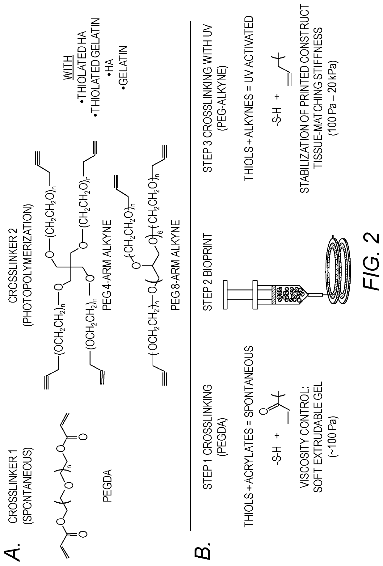 Compositions, cell constructs, and methods of making and using the same