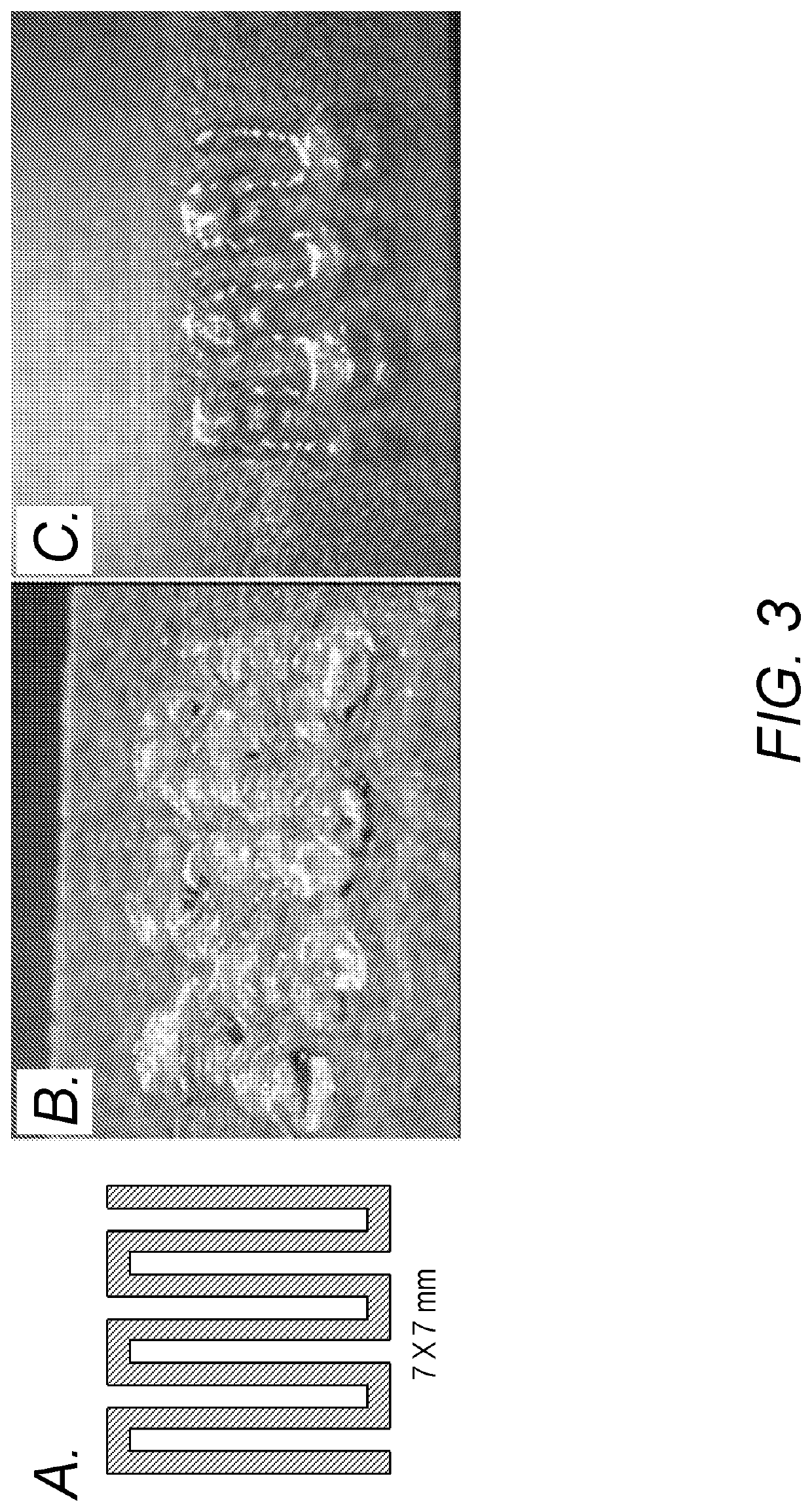 Compositions, cell constructs, and methods of making and using the same