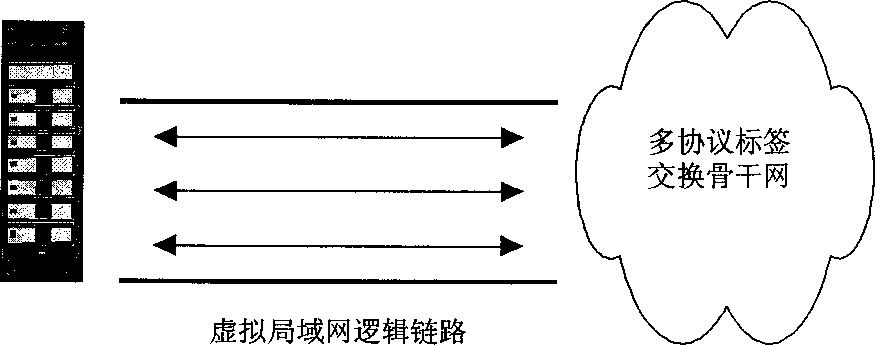 Method for core network access to multi-protocol sign exchange virtual special network