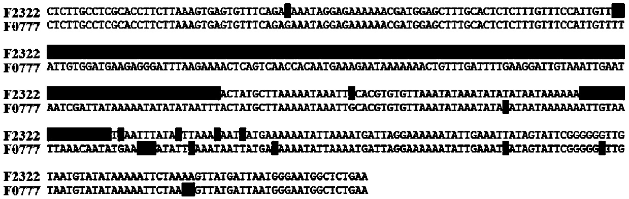 A Molecular Marker Closely Linked to the Common Bean Anthracnose Resistance Gene Locus and Its Detection Method