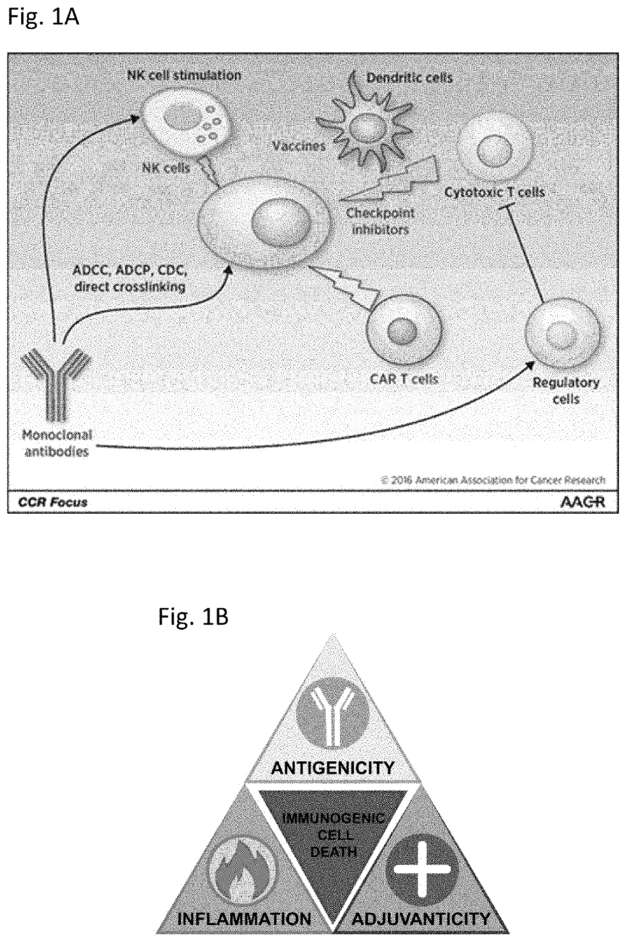 Modulating gabarap to modulate immunogenic cell death