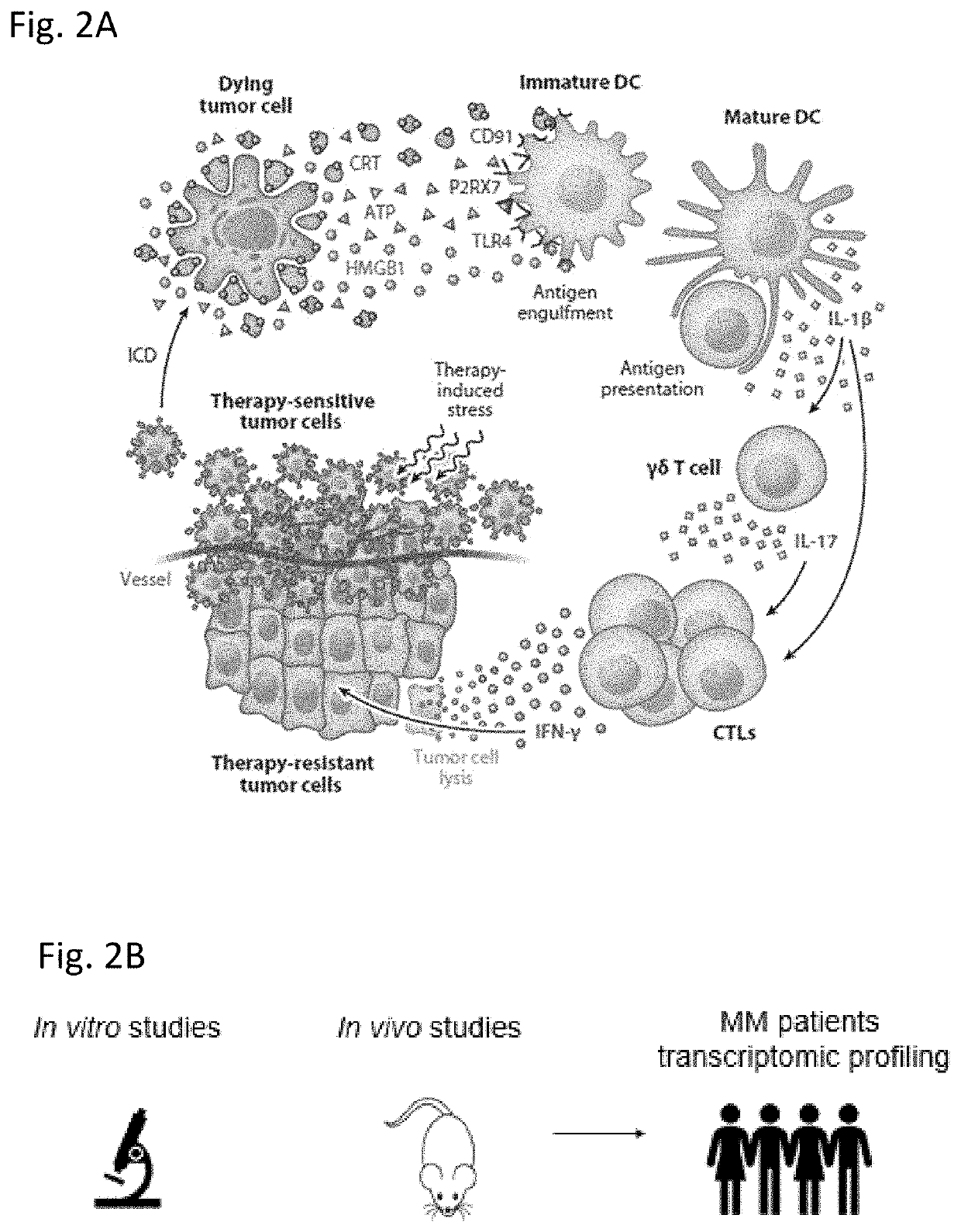 Modulating gabarap to modulate immunogenic cell death