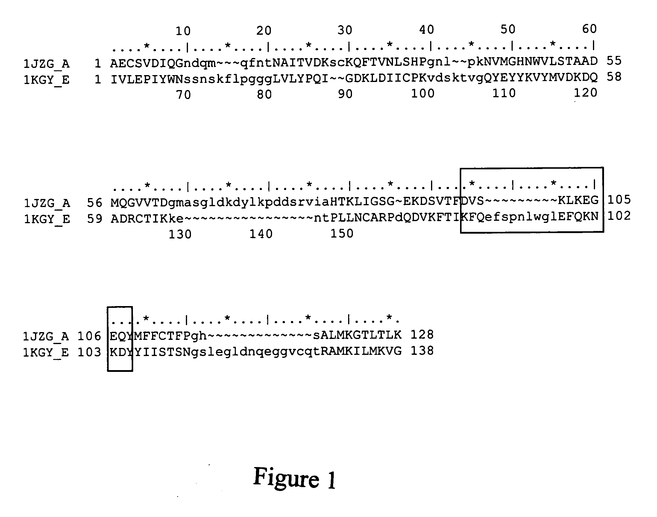 Compositions and methods for treating conditions related to ephrin signaling with cupredoxins